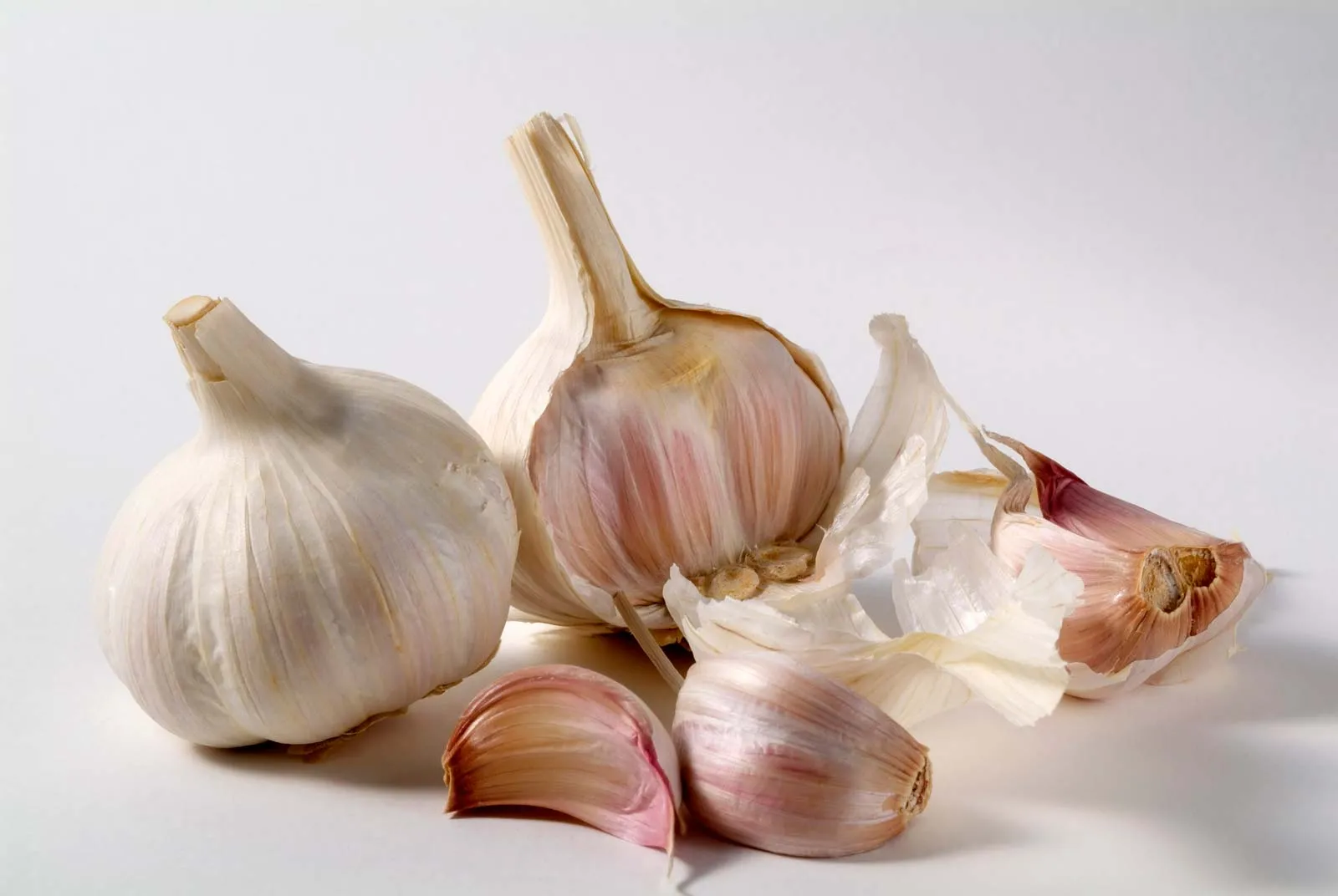 GARLIC 1 GARLIC