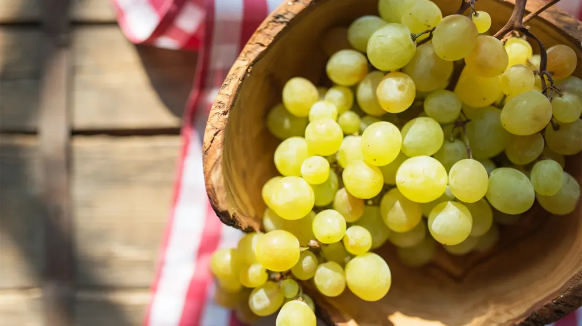 GRAPES 1 GRAPES