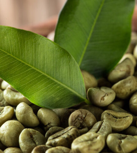 GREEN COFFEE