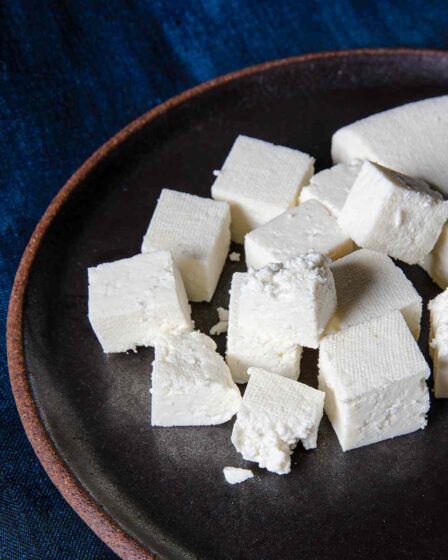 PANEER