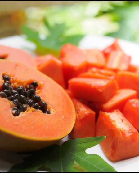 PAPAYA