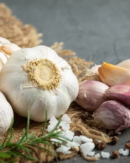 कच्‍चे लहसुन से लेकर शतावरी तक, जानिए आपके लिए क्‍यों जरूरी हैं प्रीबायोटिक्‍स का सेवन