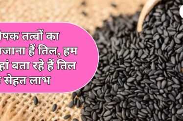 पोषक तत्‍वों का खजाना हैं तिल, हम यहां बता रहे हैं तिल के सेहत लाभ 